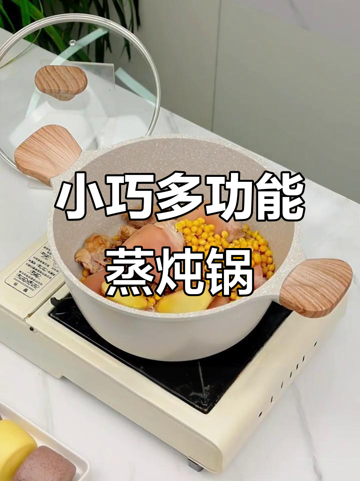 这款蒸炖锅,小巧实用,颜值与功能并存!