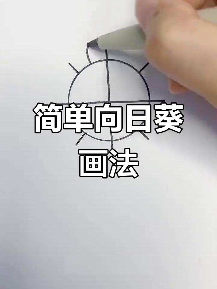 向日葵简笔画,轻松学会