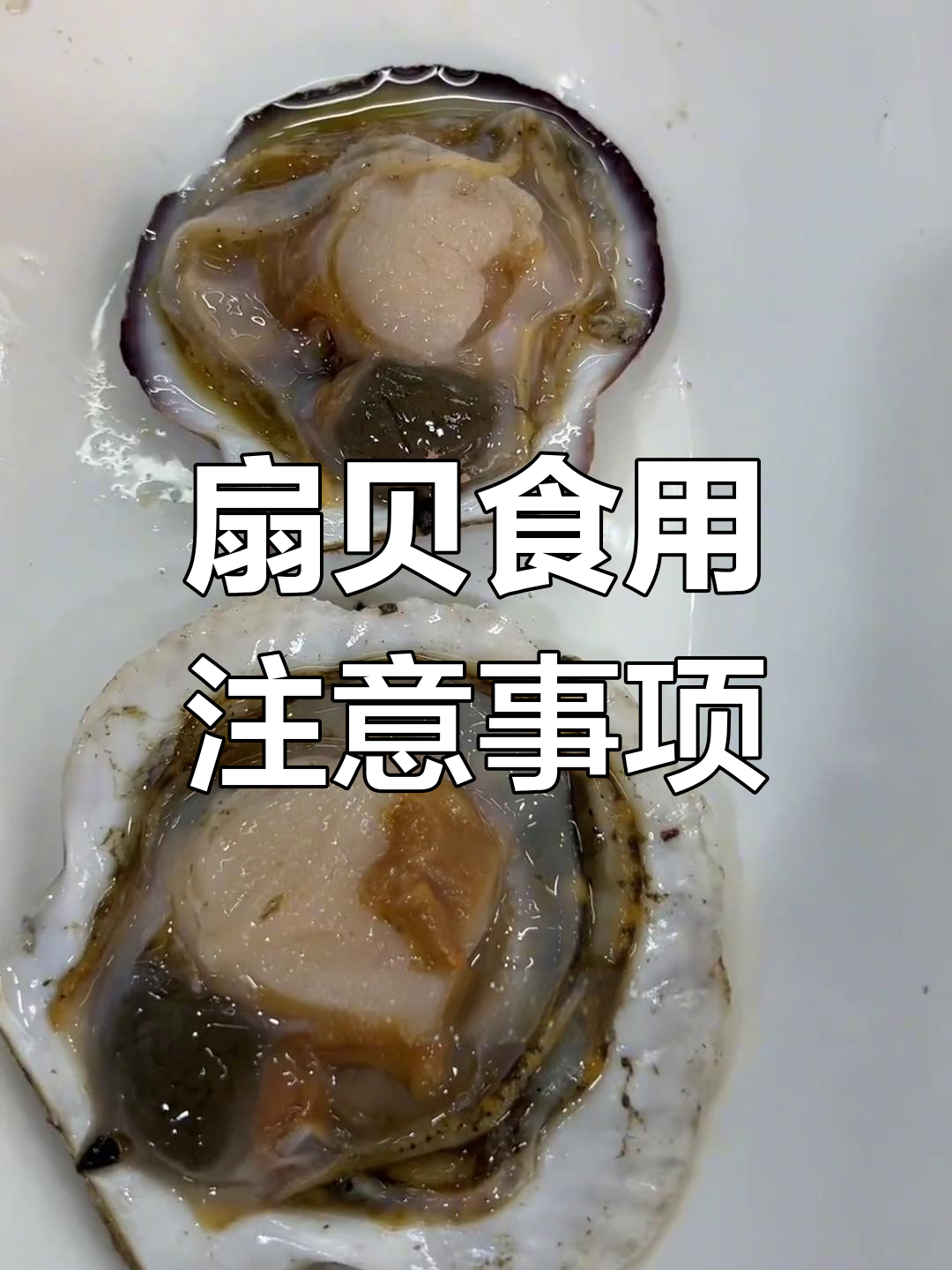 扇贝哪里能吃?这些部位千万别碰!