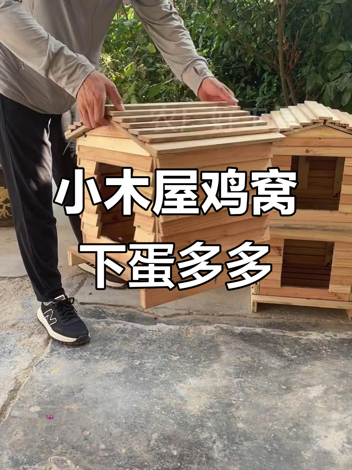农村小伙设计鸡窝,通风防潮又美观,下蛋多到停不下来