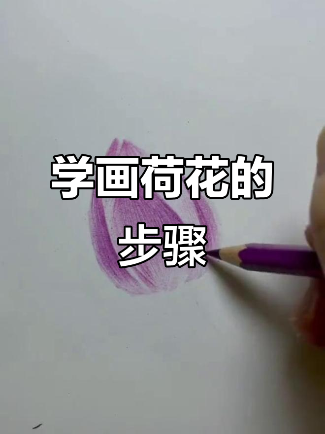 彩铅荷花教程,轻松学会画莲花