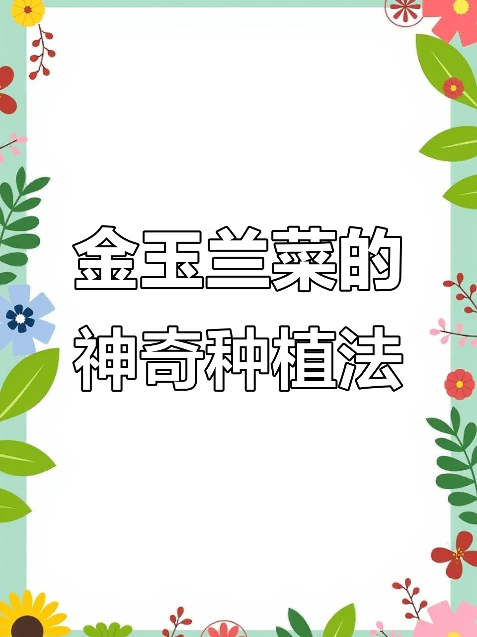 欧洲贵族蔬菜,金玉兰菜:种在土里就能长出美味娃娃菜