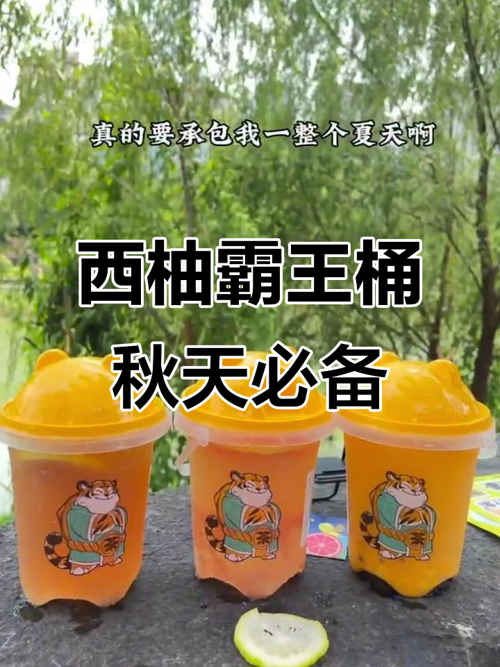 秋天的第一杯奶茶,西柚霸王桶让你清爽一夏