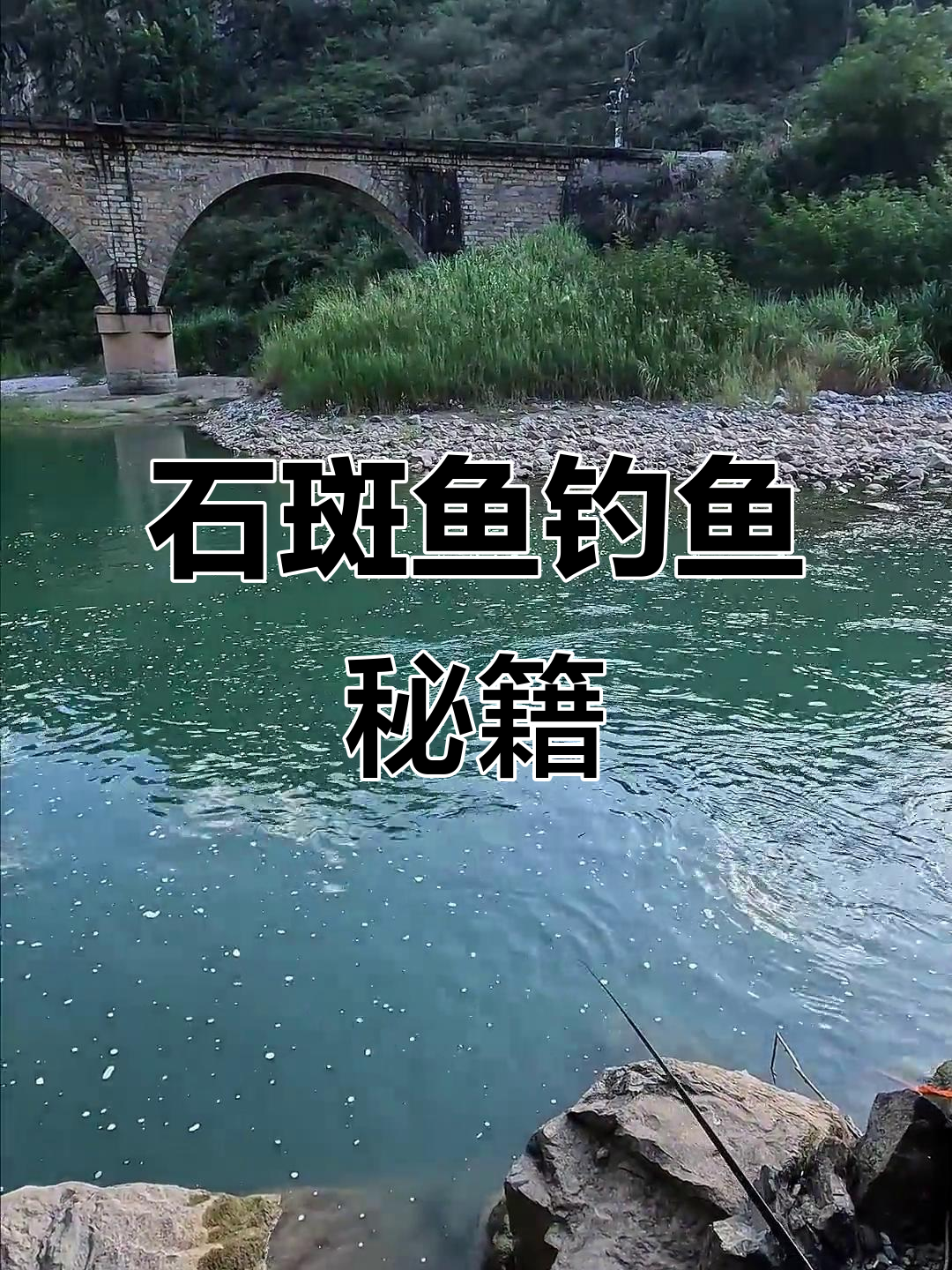 钓石斑鱼的技巧:打窝、耐心与时机