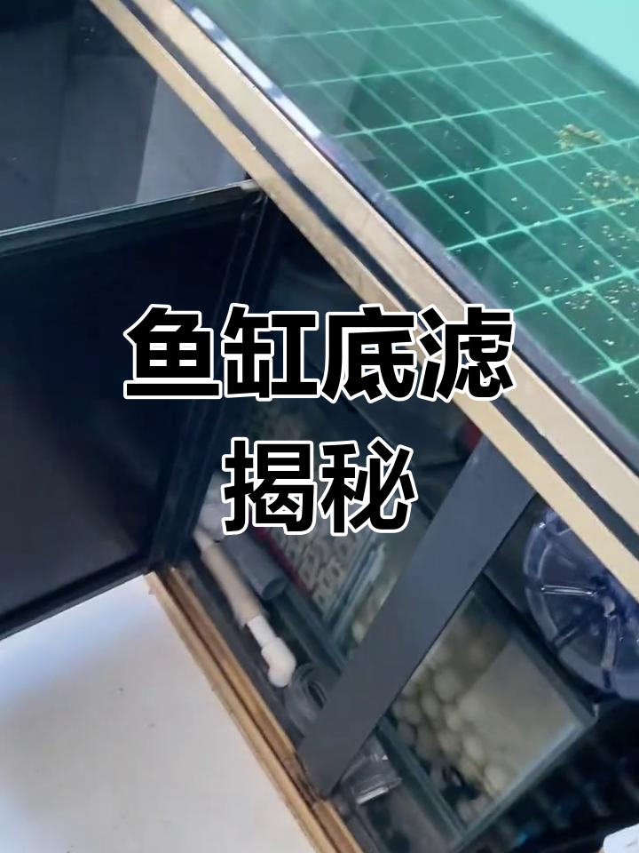 鱼缸底滤全解析:从下水到干湿分离,每一步都不可忽视