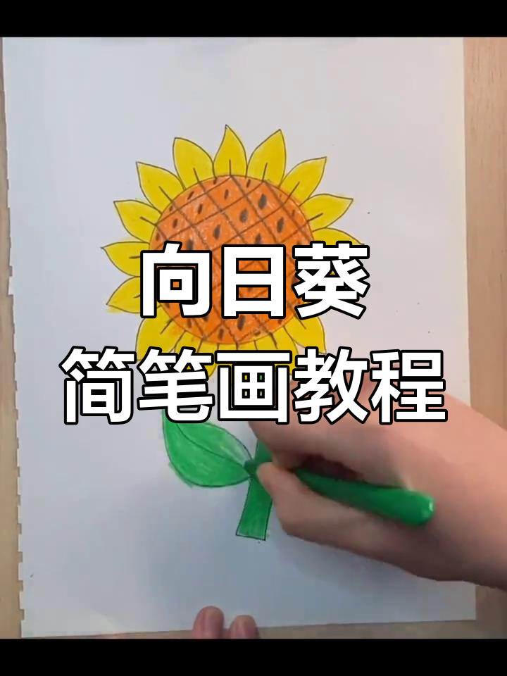 简单步骤教你画向日葵,蜡笔涂色更有趣