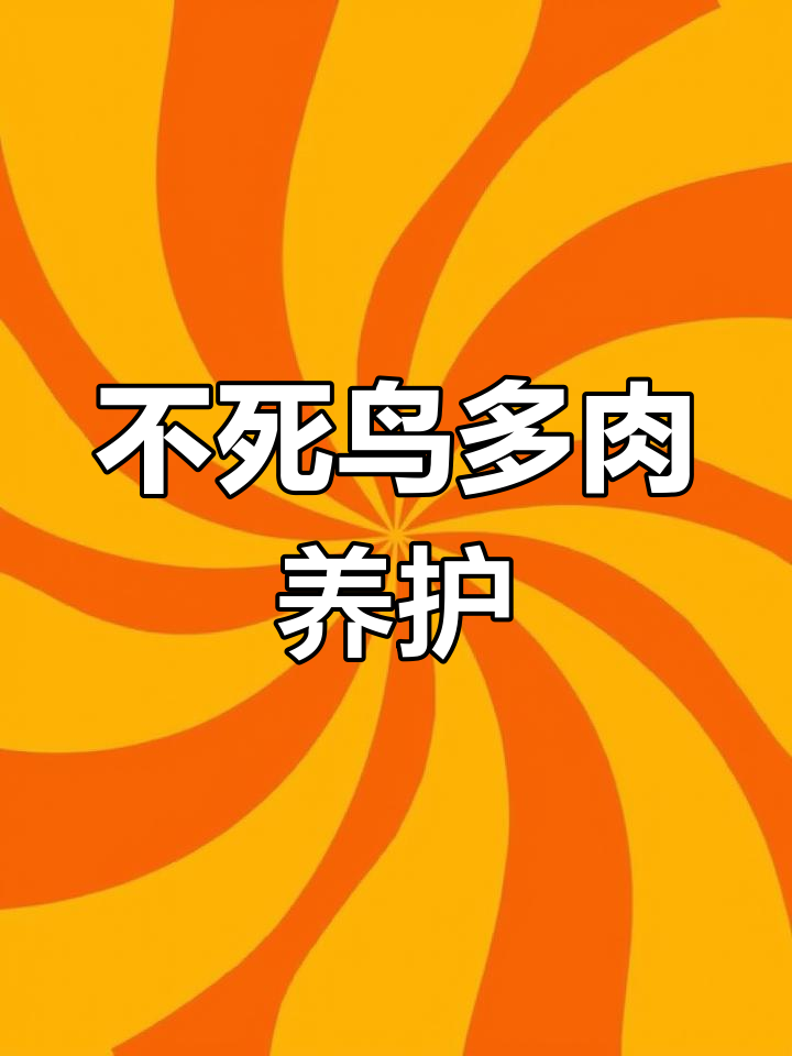 养不死鸟,轻松成活!落地生根的多肉植物养护技巧