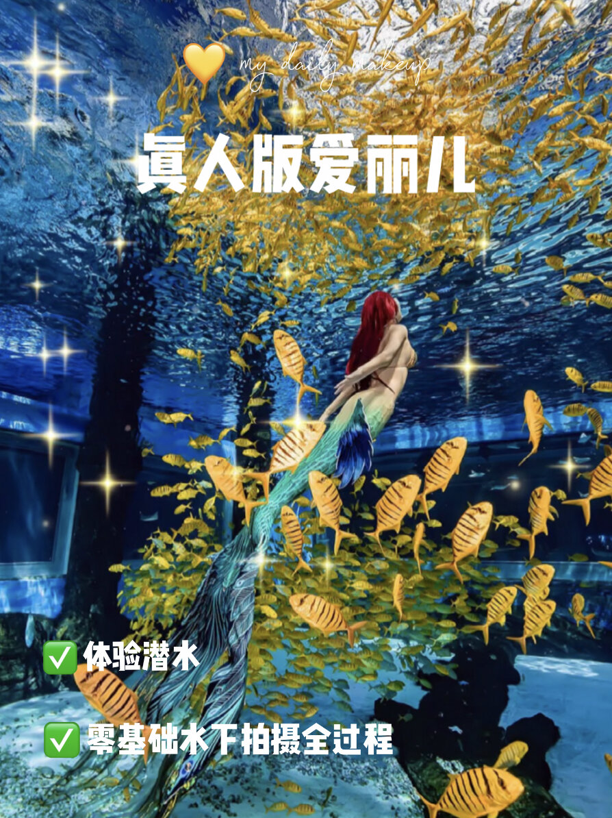 美人鱼 三亚小黄鱼 零基础潜水 水下拍摄
