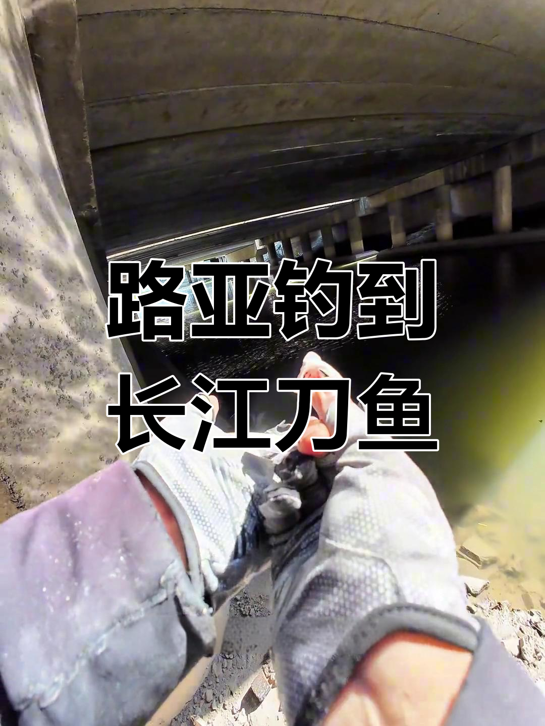 长江刀鱼现身,竟然要800元一斤?路亚钓手意外捕获