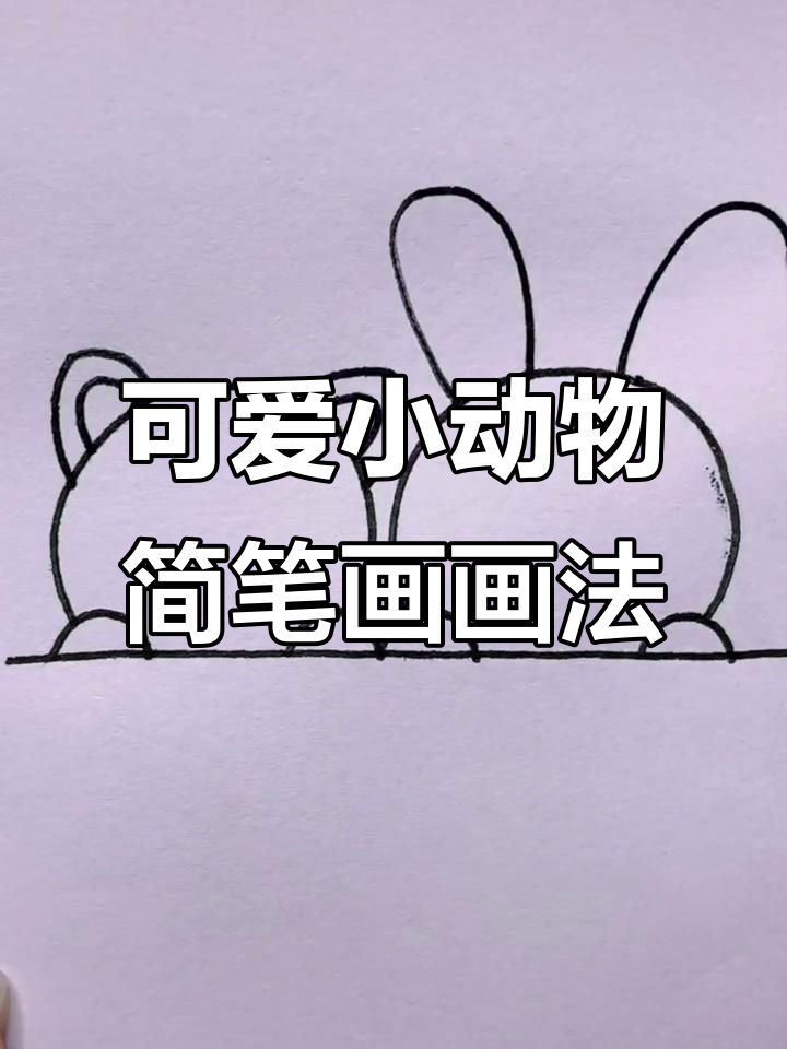 小动物简笔画教程，轻松画出萌态十足的小爪子