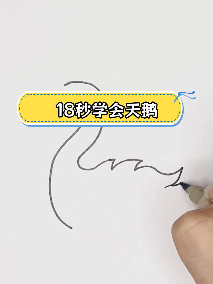 轻松学画白天鹅,简单又可爱