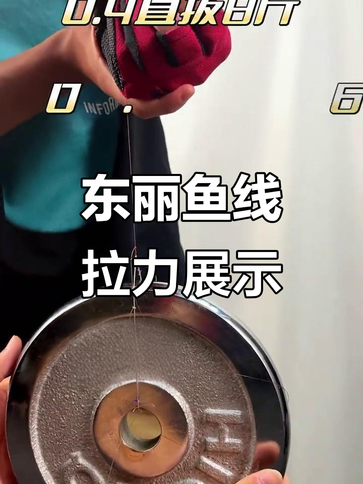 东丽原丝鱼线拉力实测:从0.4到1.5号,轻松挑战各种重量