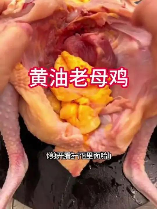 黄油老母鸡3只+赠1只大鹅4只净重11斤农家散养土鸡 n1
