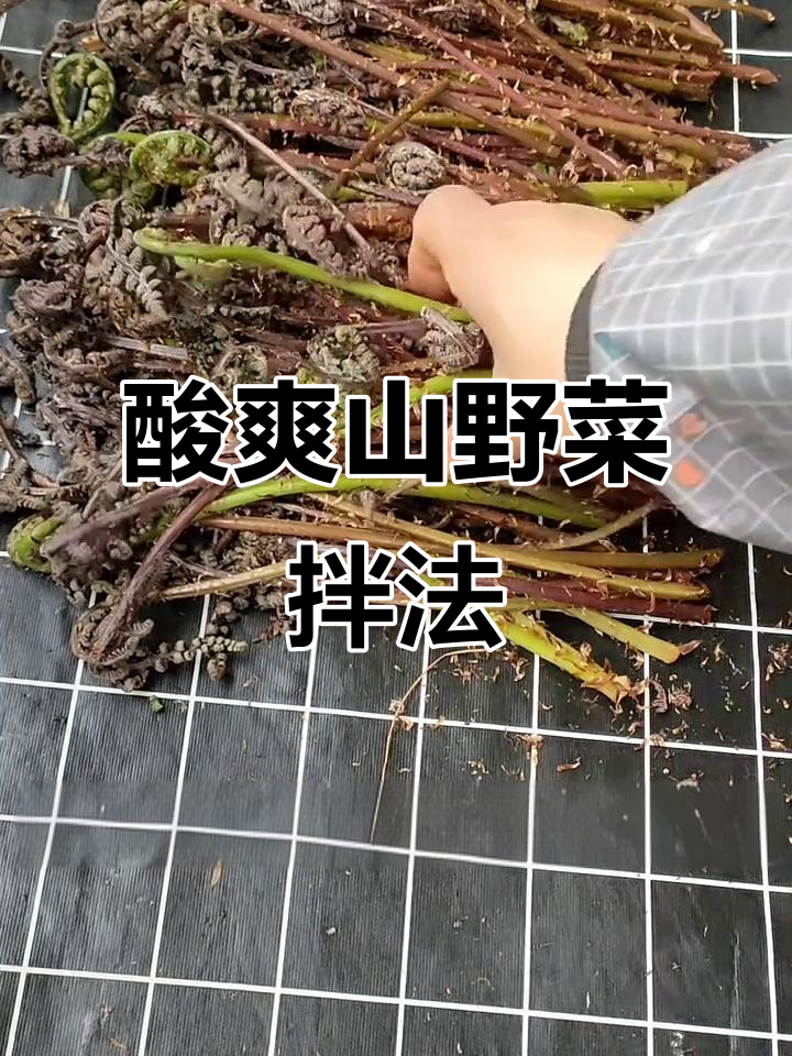 山野菜猴腿拌法大揭秘,辣白菜姐教你这样做!