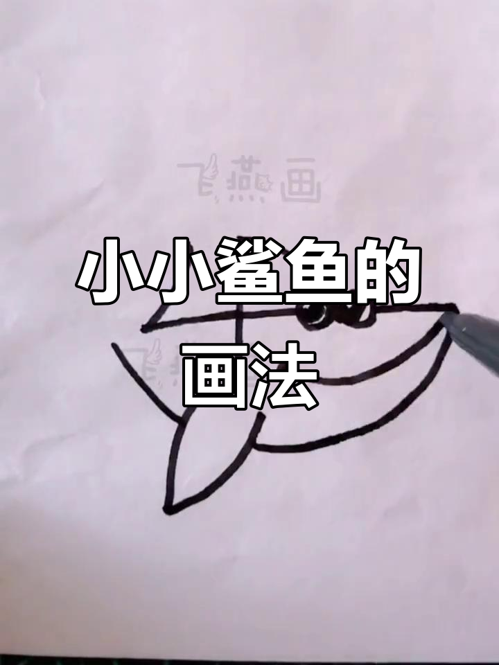 鲨鱼宝宝和妈妈的简笔画，轻松学会！