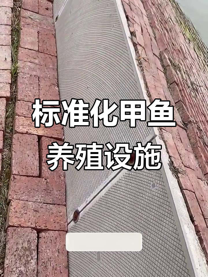 100亩甲鱼塘设施全解析:护坡、瓷砖与铁丝网一应俱全