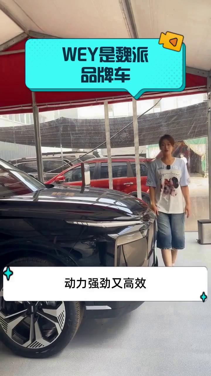 WEY是魏派品牌车