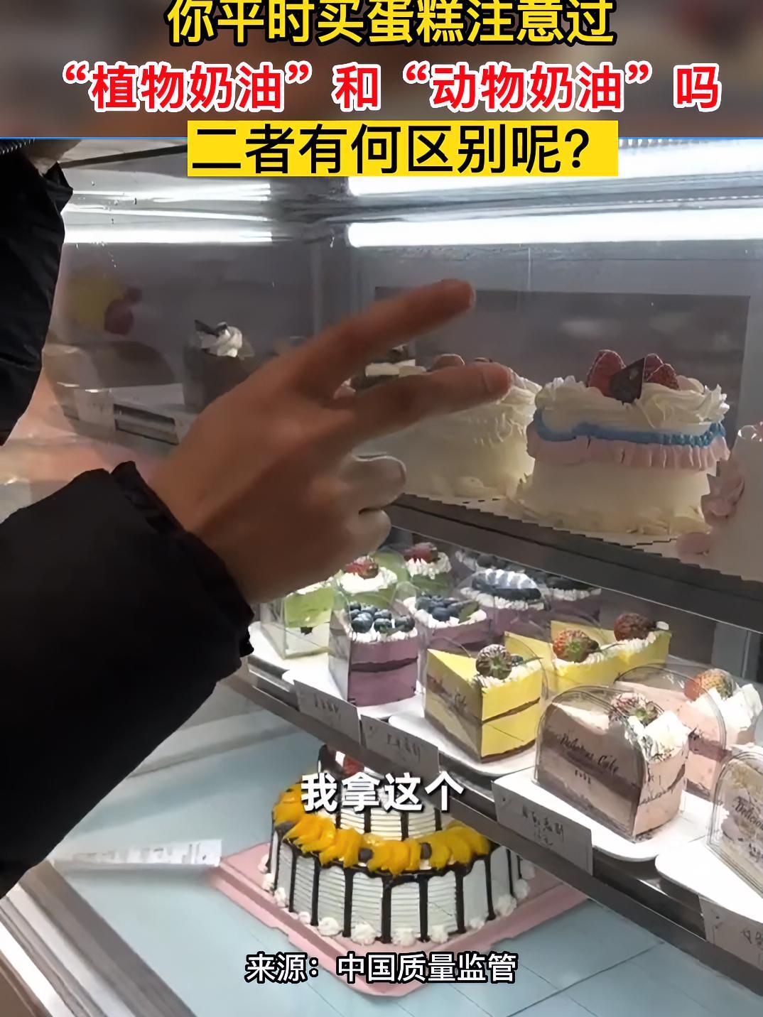 你平时买蛋糕注意过“植物奶油”和“动物奶油”吗?二者有何区别呢?