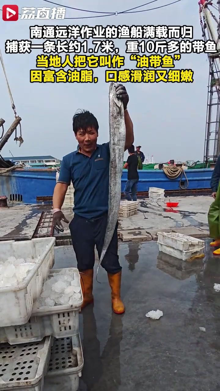 南通渔民捕获1米7带鱼王网友:比我还长!