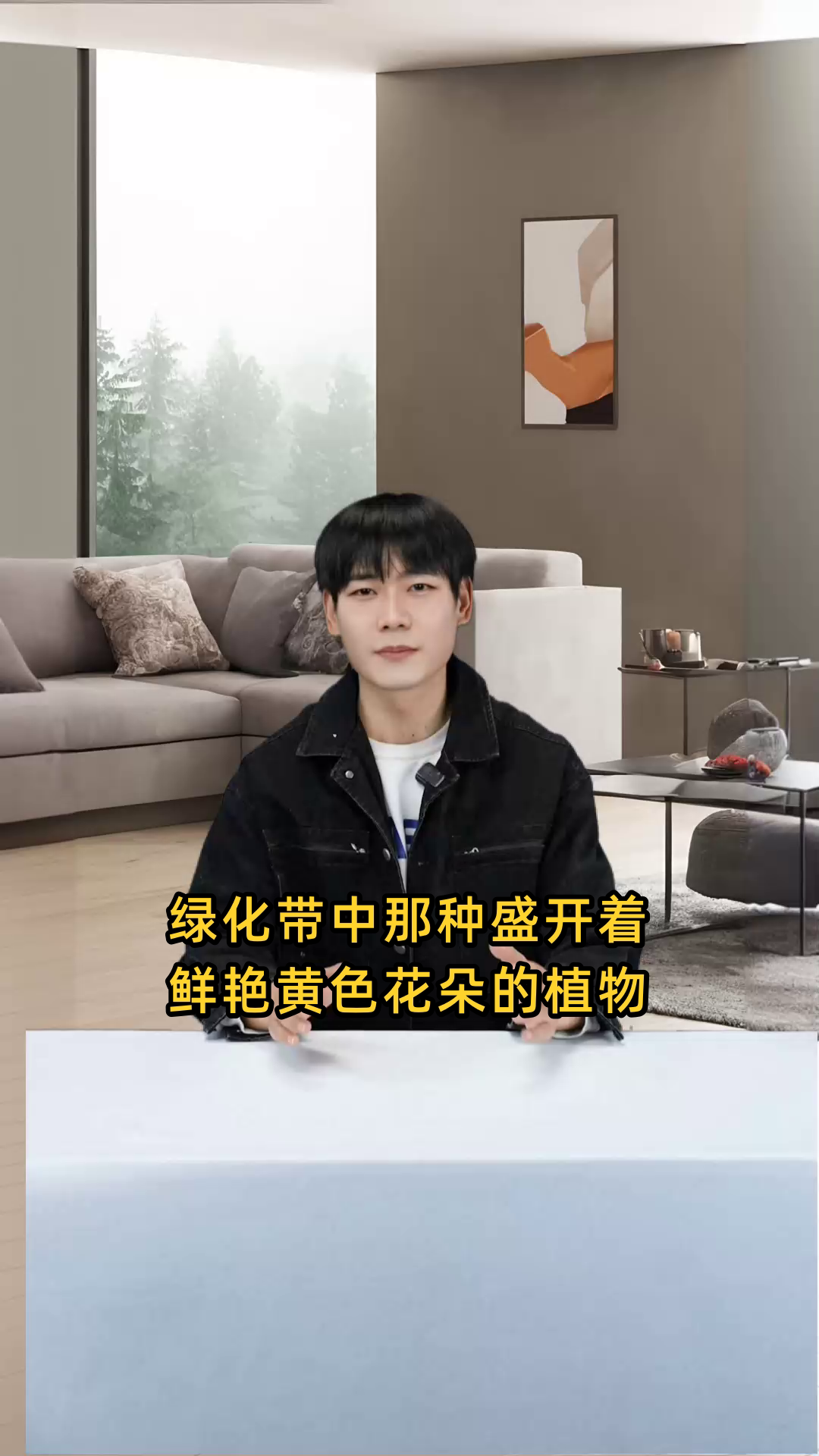 绿化带中那种盛开着鲜艳黄色花朵的植物叫什么名字?