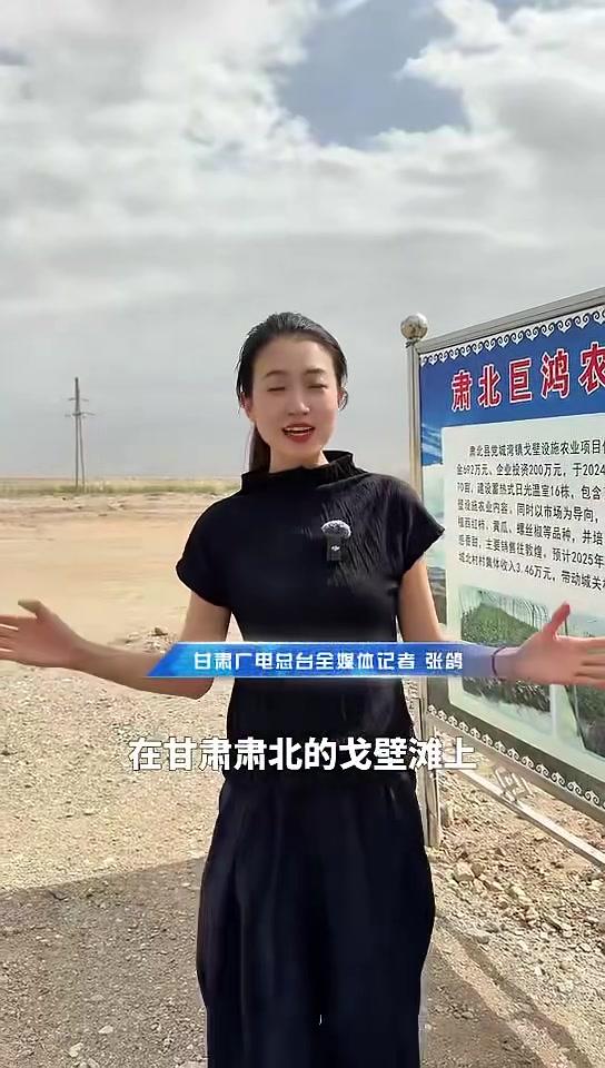 科技赋能戈壁农业！在肃北的戈壁滩上，先进的科技技术构建起蔬菜大棚的“智慧大脑”，通过“高科