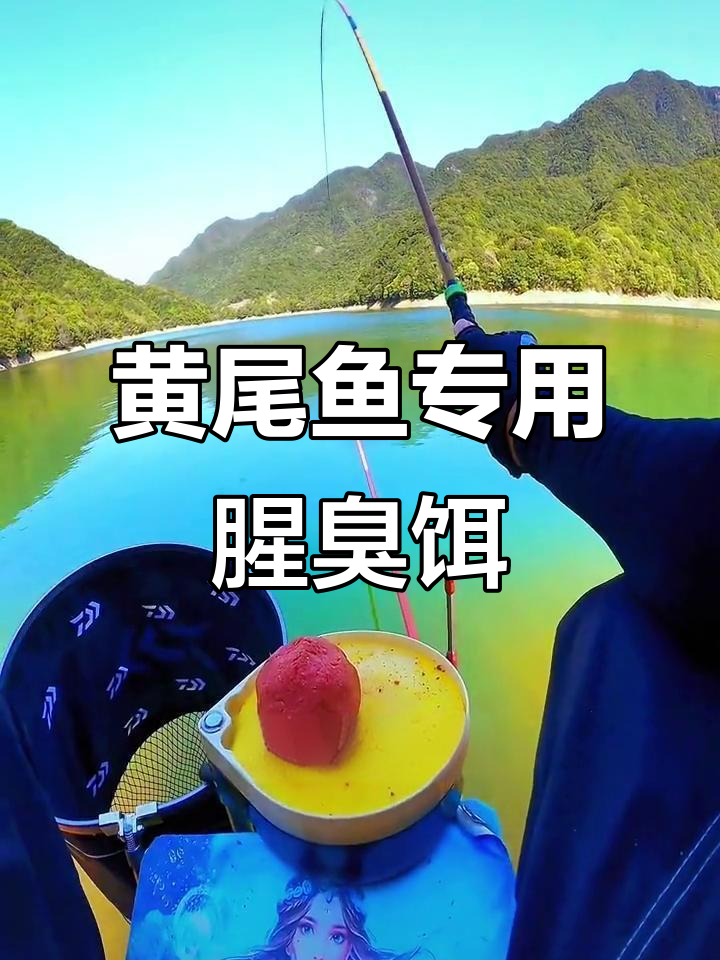 专攻黄尾鱼的腥臭饵料,钓得又多又大