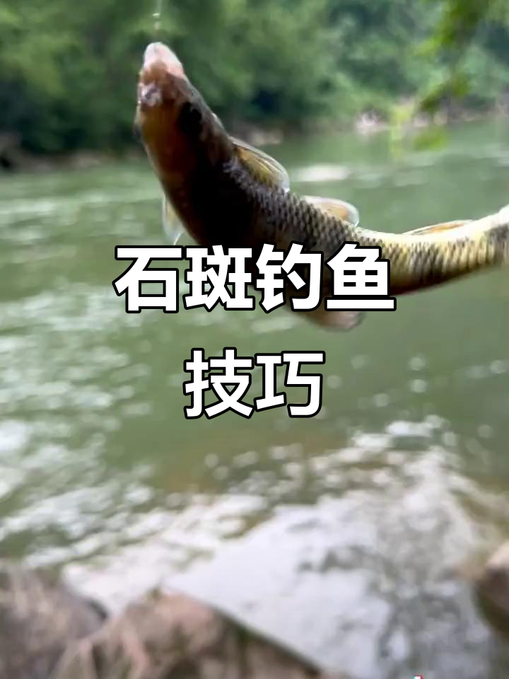 溪流钓石斑鱼,天气决定成败