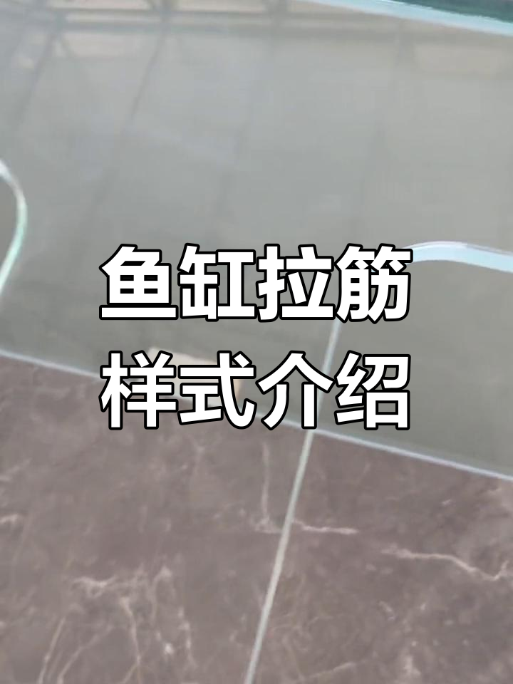 鱼缸拉筋全解析:几种常见样式与优缺点对比