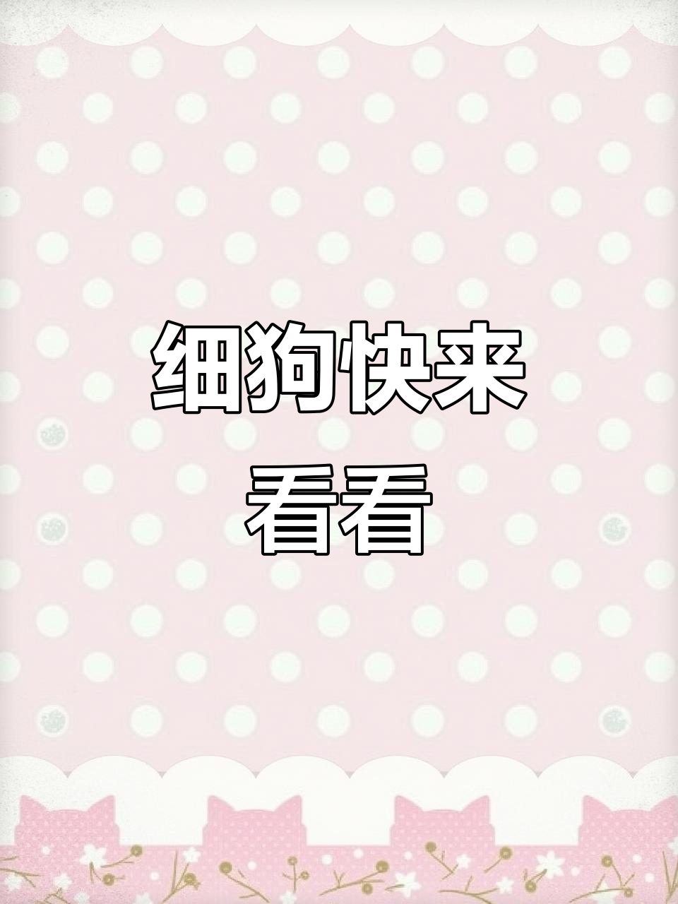 肌肉男养成中，青筋暴起的一天！
