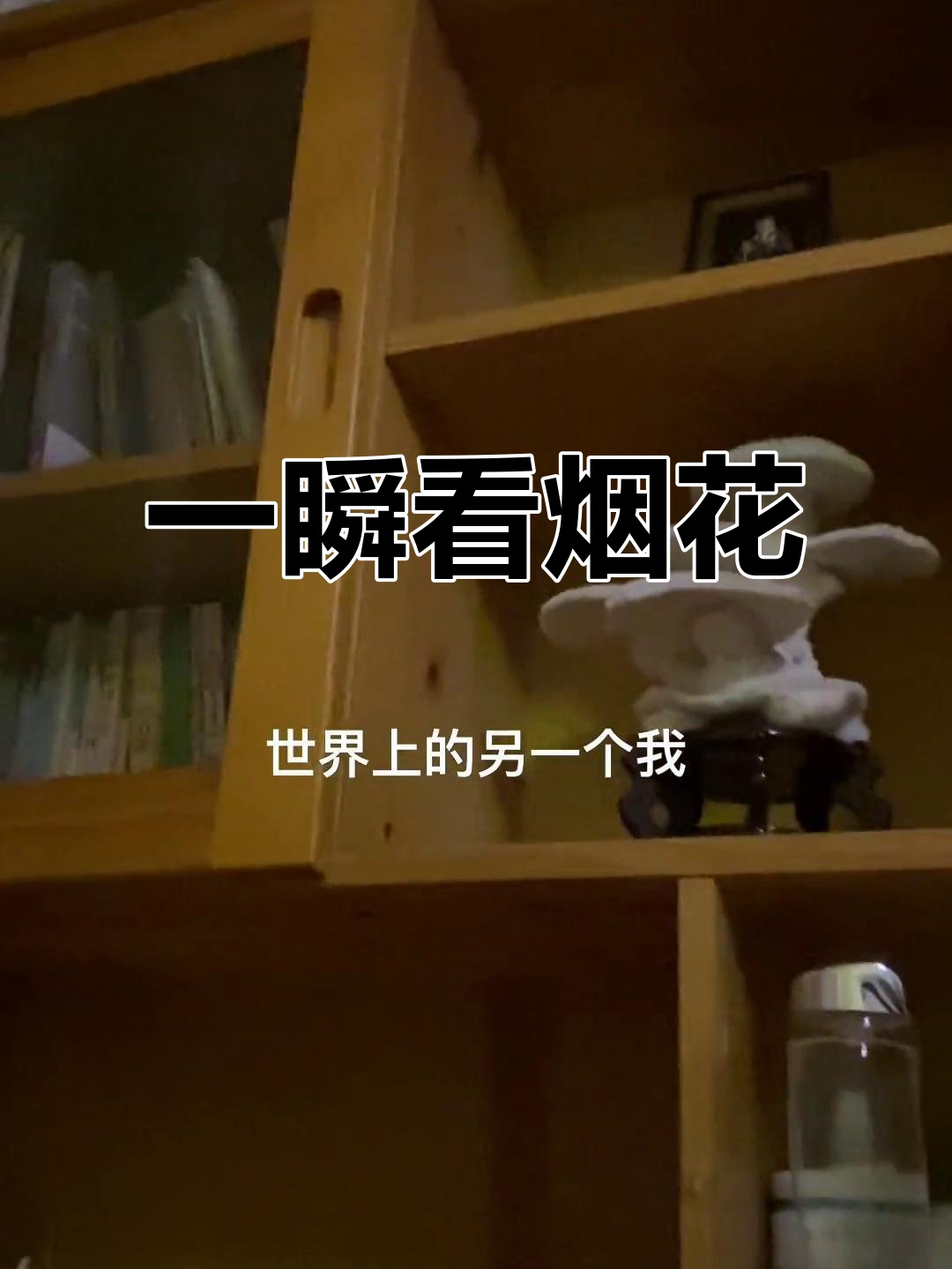 上一秒台北烟火,下一秒上海摩吉多,仿佛世界另一端的自己