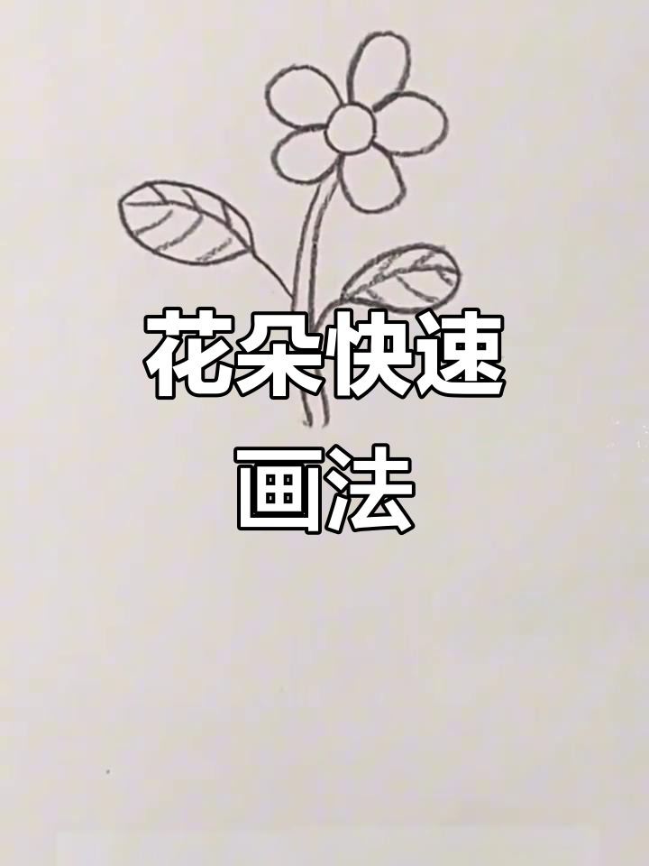 30秒学会花朵速写,简单又好看