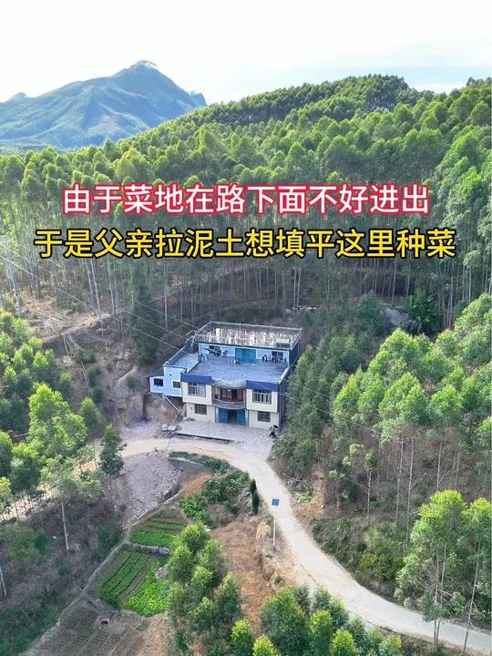 由于菜地在路下面不好进出,于是父亲想拉泥土填平这里,重新搞个菜地种菜,我真是想不通呀!农村