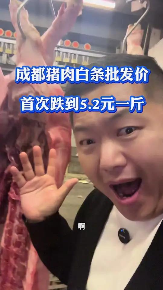 猪肉白条批发价首次跌破历史线 四月八号猪肉白条最低5.2元一斤,只要不养猪其他环节都能挣钱