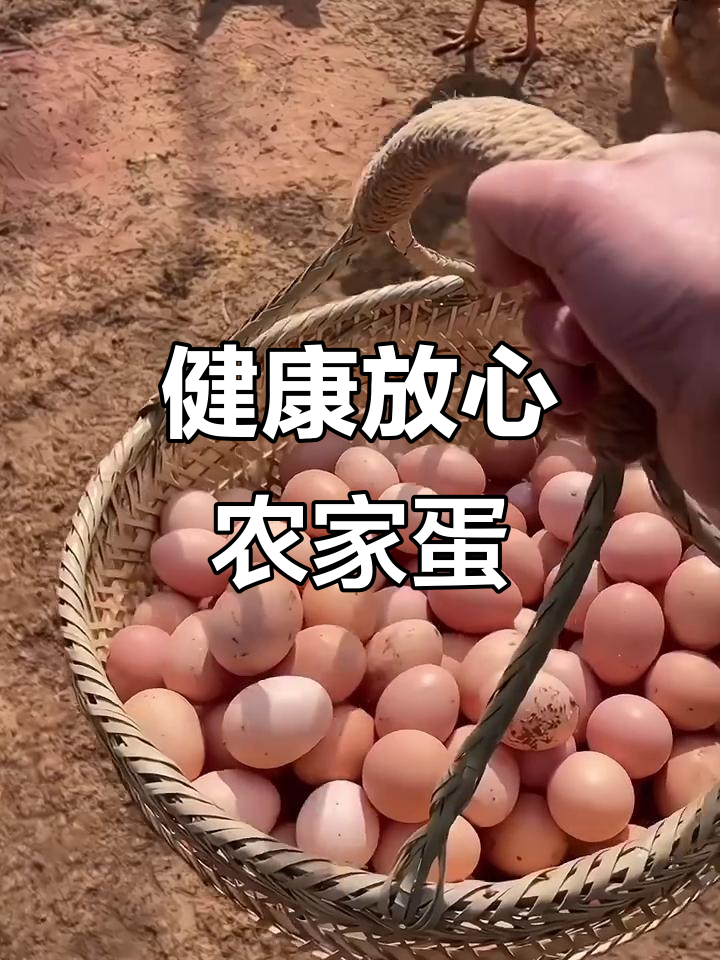 农家散养土鸡蛋,蛋黄更黄、口感更好