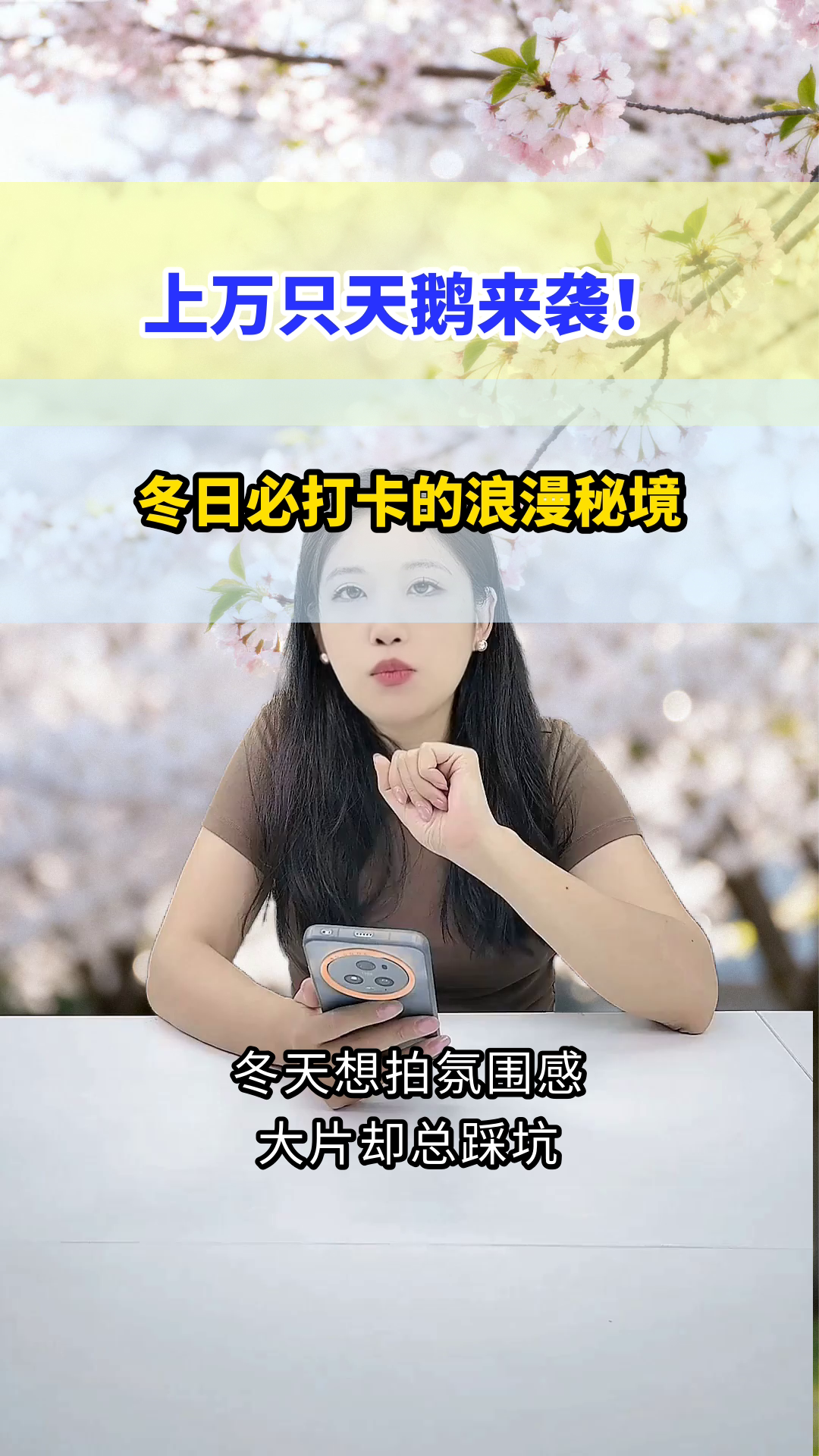 三门峡天鹅湖！冬日浪漫天花板