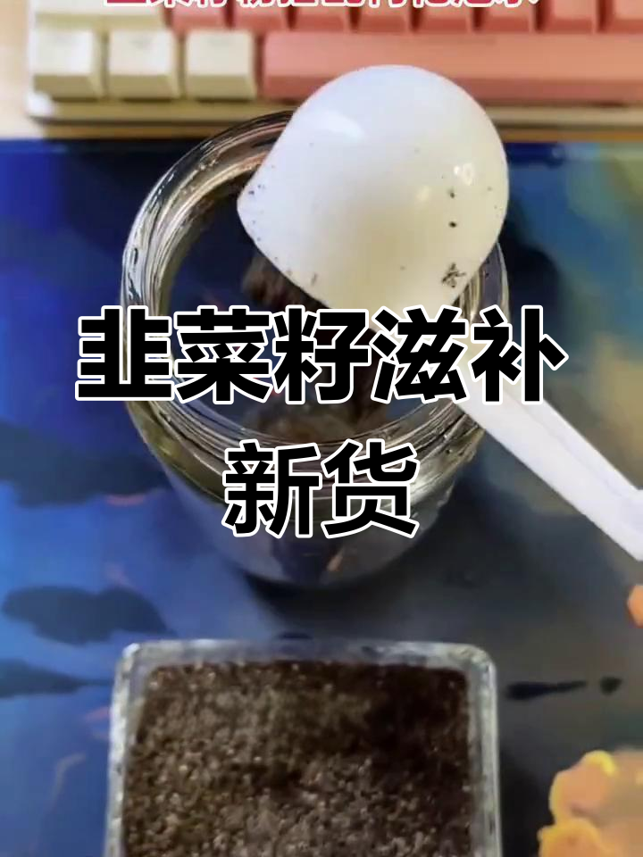 新鲜韭菜籽,磨粉搭配枸杞泡水,滋补养生好选择