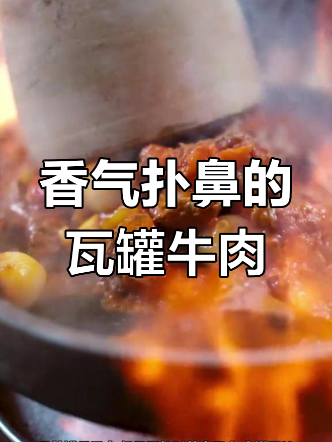 土耳其瓦罐牛肉,香气四溢,肉质鲜嫩,令人陶醉