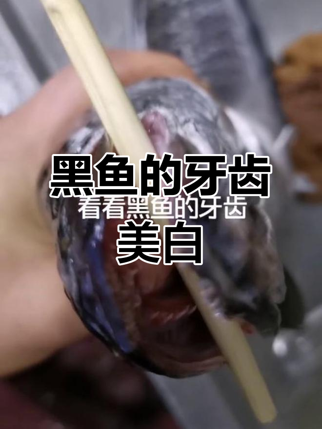 黑鱼牙齿美白大揭秘,竟然是这样实现的!