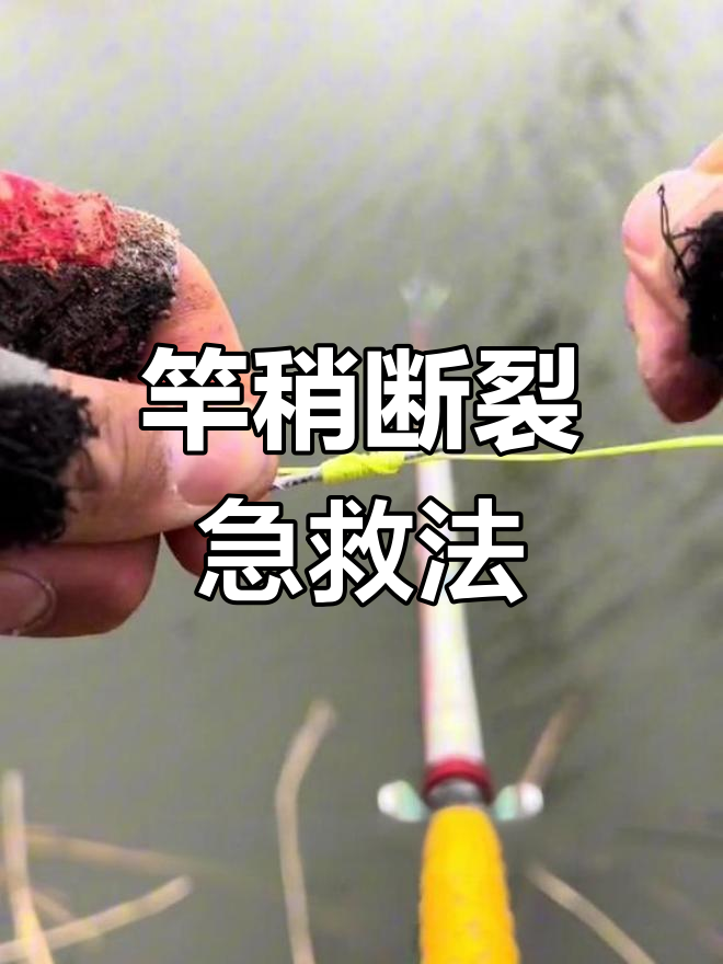 钓鱼竿断了怎么办?应急修复技巧