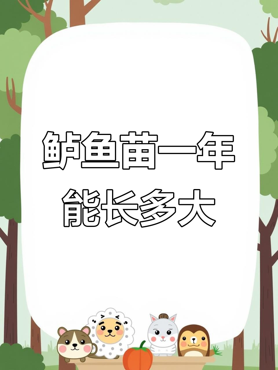 鲈鱼苗生长速度揭秘：从二两到一点二斤只需三四个月