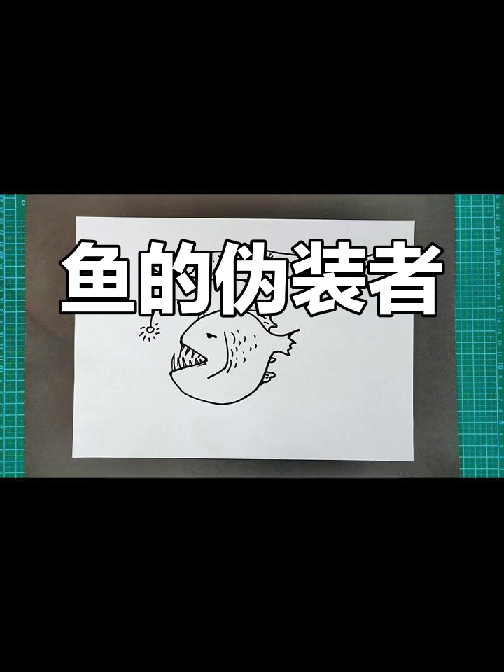一招搞定所有“鱼”,哪些动物其实不是真正的鱼类?