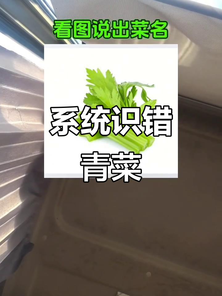 香菜、生菜傻傻分不清?系统识别太离谱了!