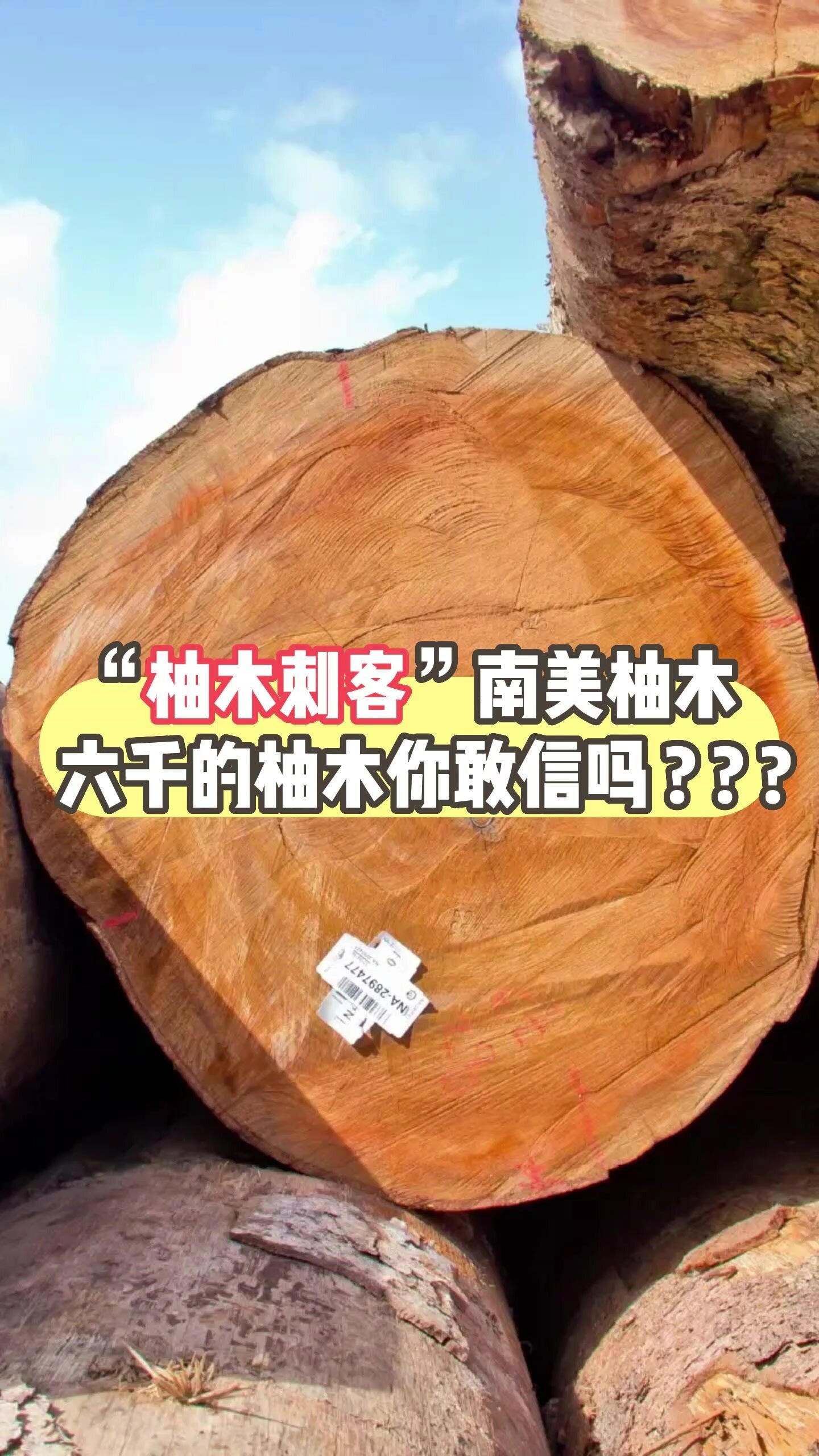南美柚木是柚木吗?它和缅甸柚木区别在哪?