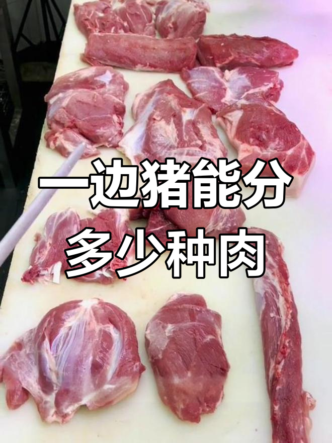 猪肉的多种瘦肉类型解析