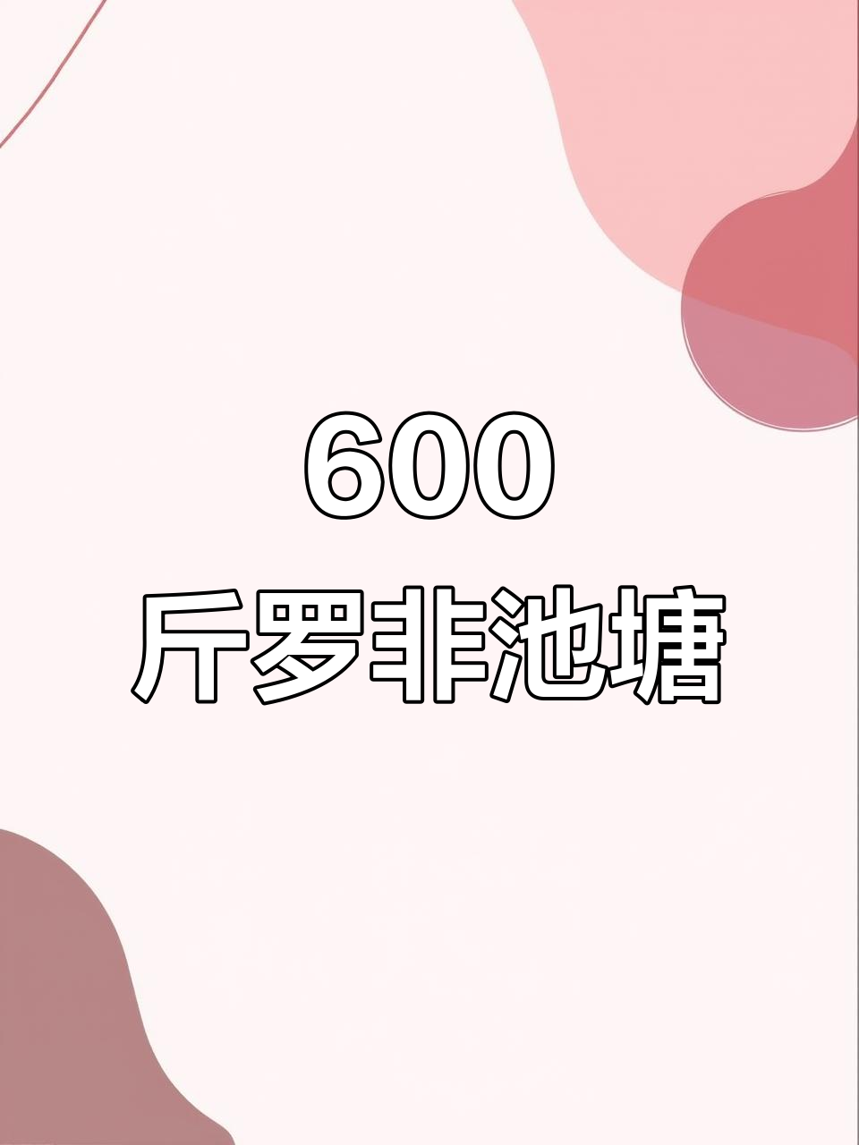 一池罗非鱼重600斤,满满都是美味