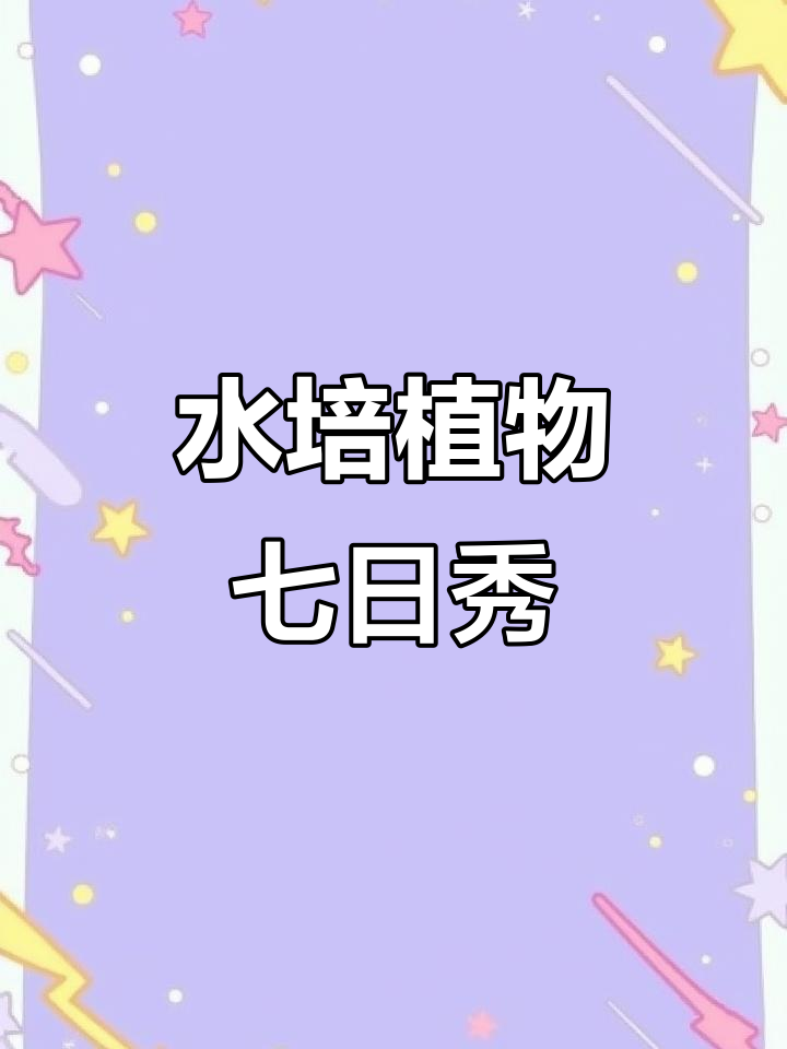康乃馨、相思梅与玫瑰的水培之旅,七天效果大揭秘