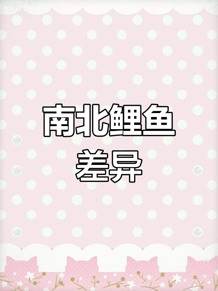 北方鲤鱼火爆,南方却无人问津,差异背后原因揭晓!