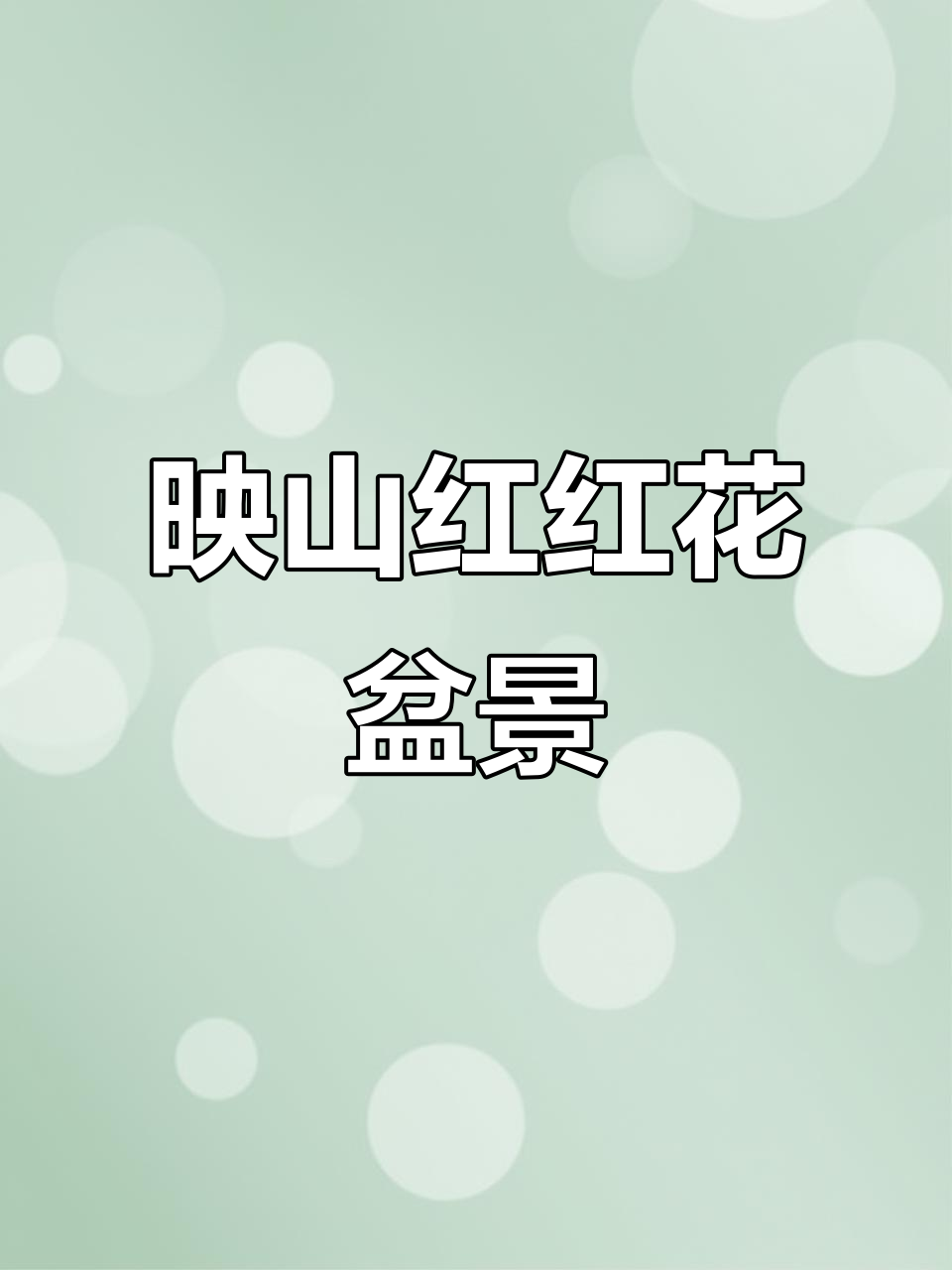 映山红红花全冠,别墅庭院必备盆景