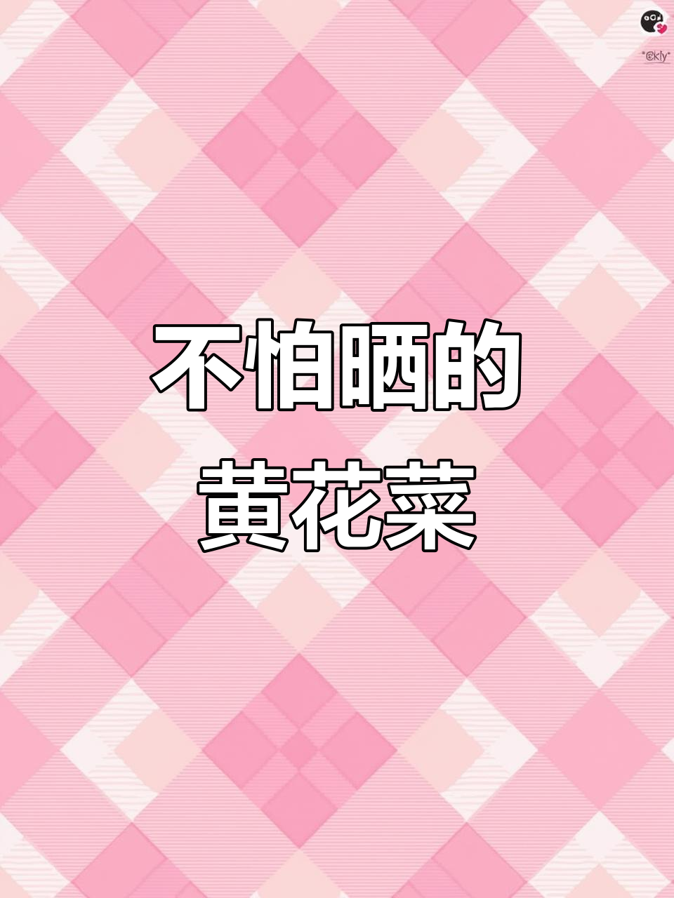 2025年6月5日,祁东安民黄花菜新品种亮相