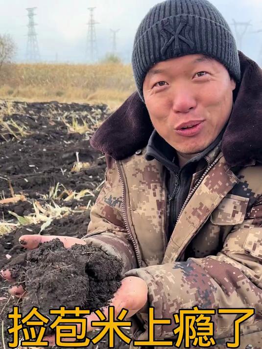 捡苞米老爸上瘾了,晚饭木耳黄花菜鸡蛋打卤面真好吃